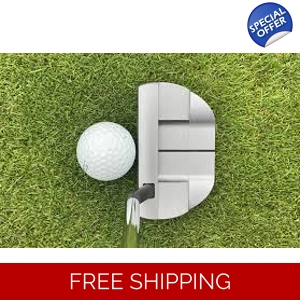 TaylorMade Spider GT Notchback Putter